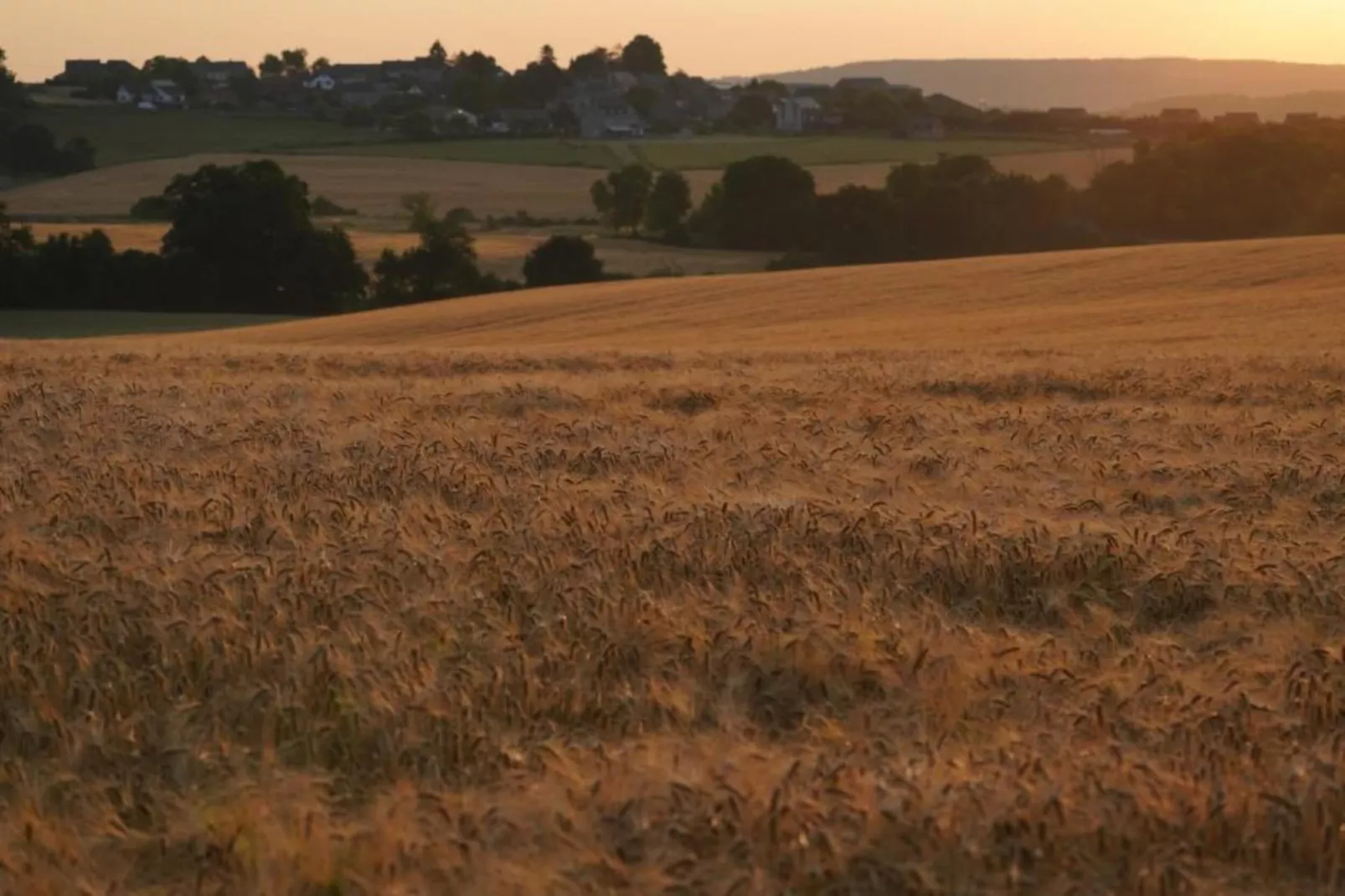 La Ferme de Foy 24-Gebieden zomer 5km