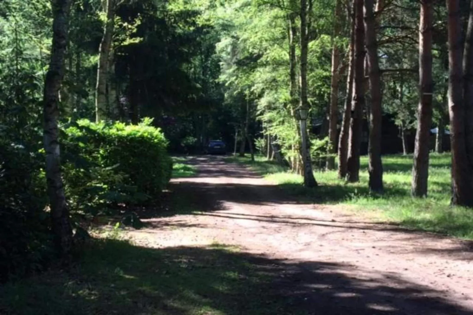 Het Bloesemklooster-Gebieden zomer 20km