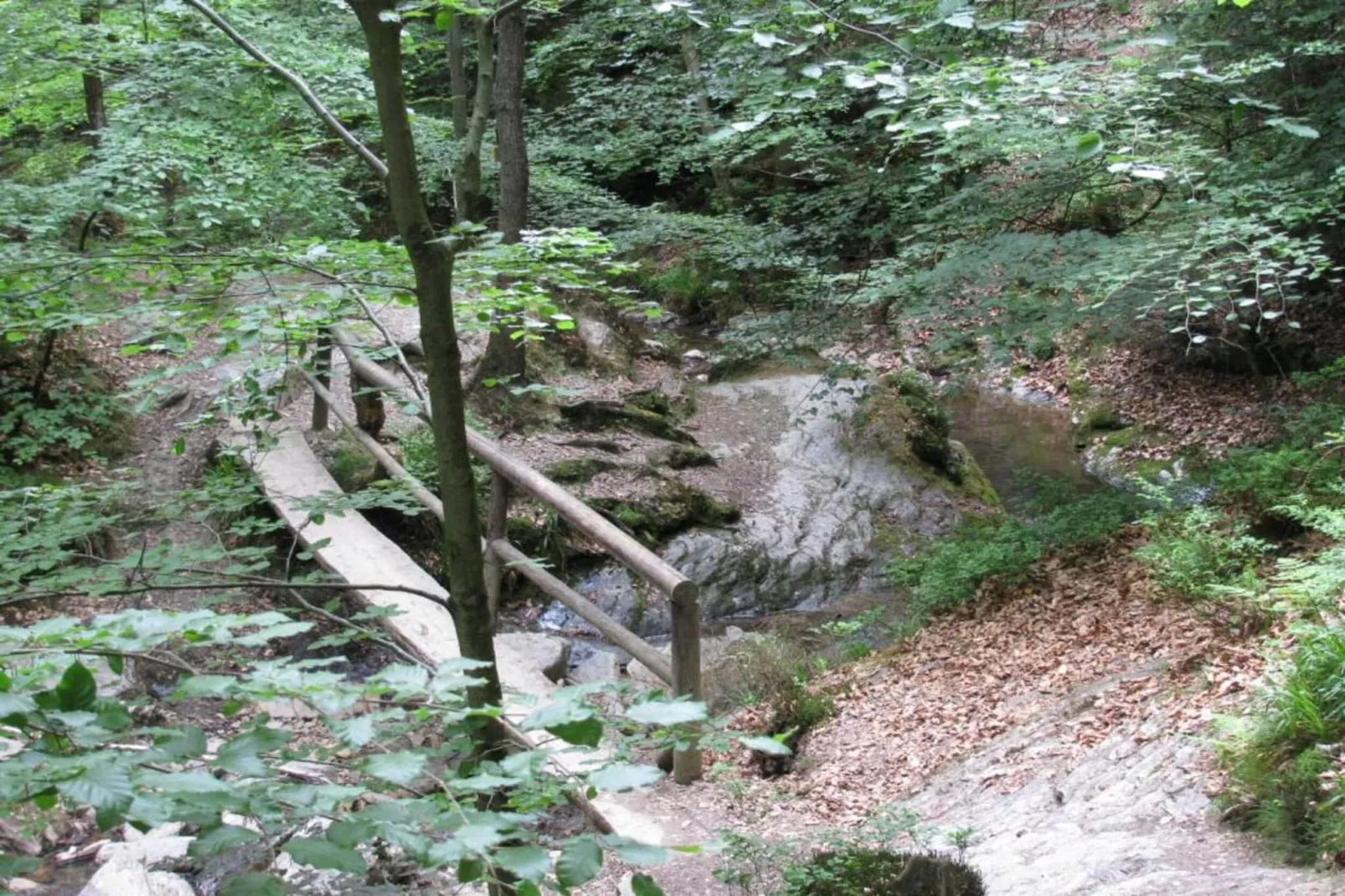 Le Loup Veigné-Gebieden zomer 5km