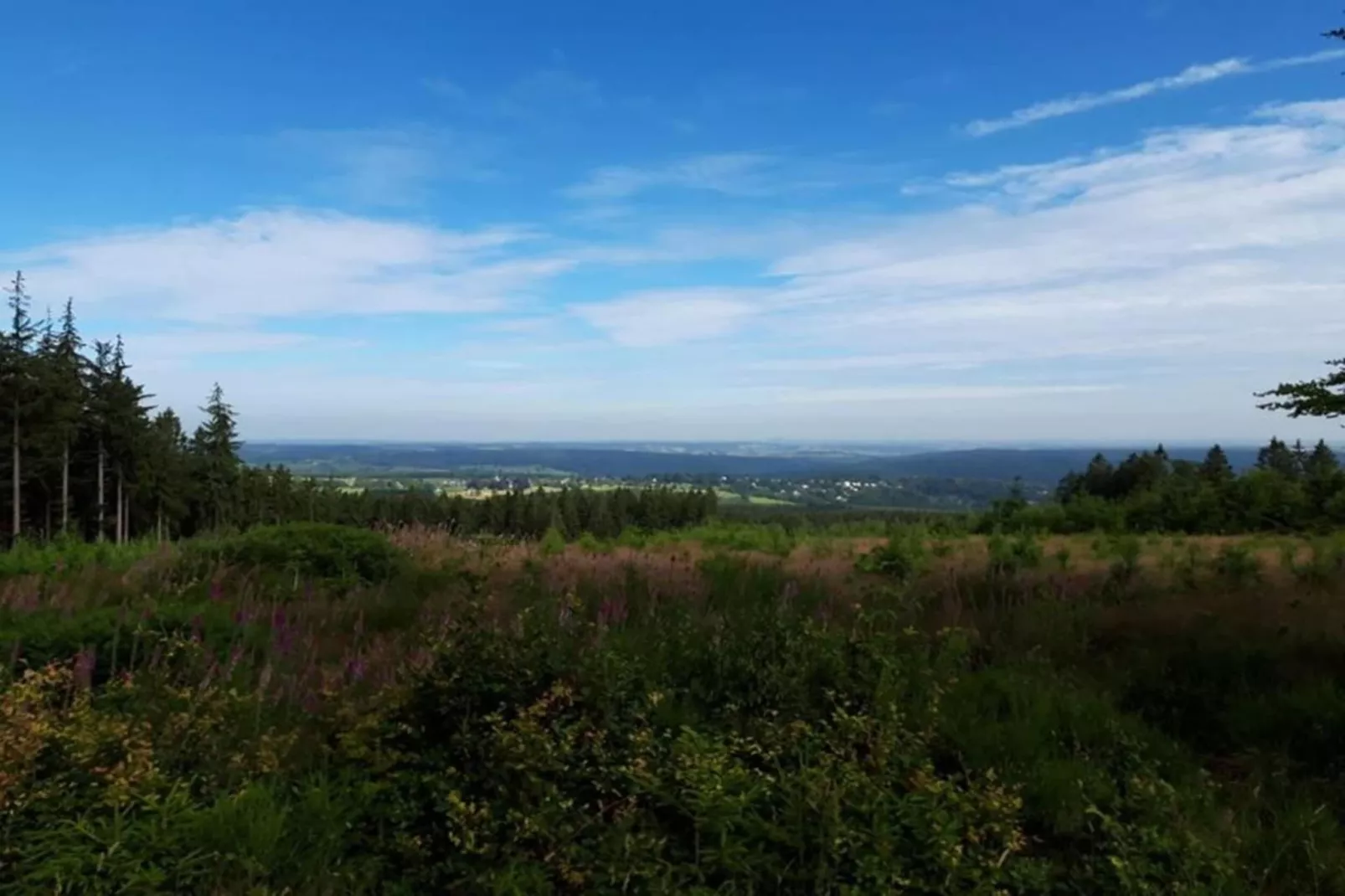 La lavande-Gebieden zomer 20km