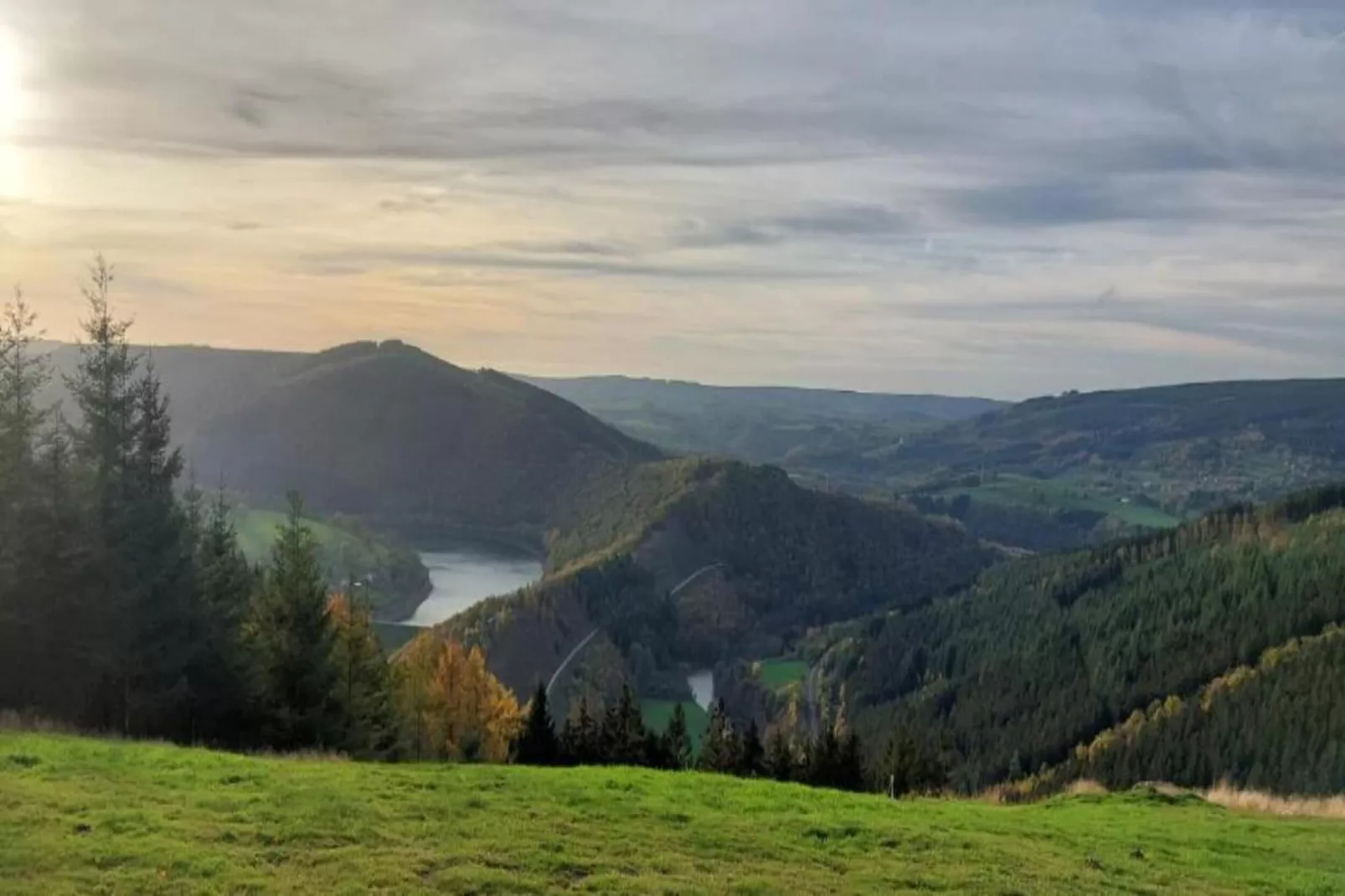 Orchidee-Gebieden zomer 20km