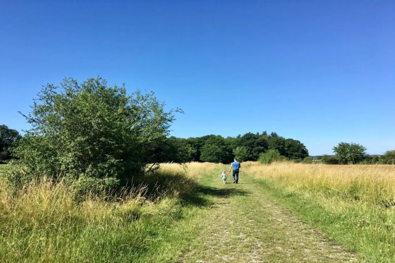 La Pierraille-Gebieden zomer 20km