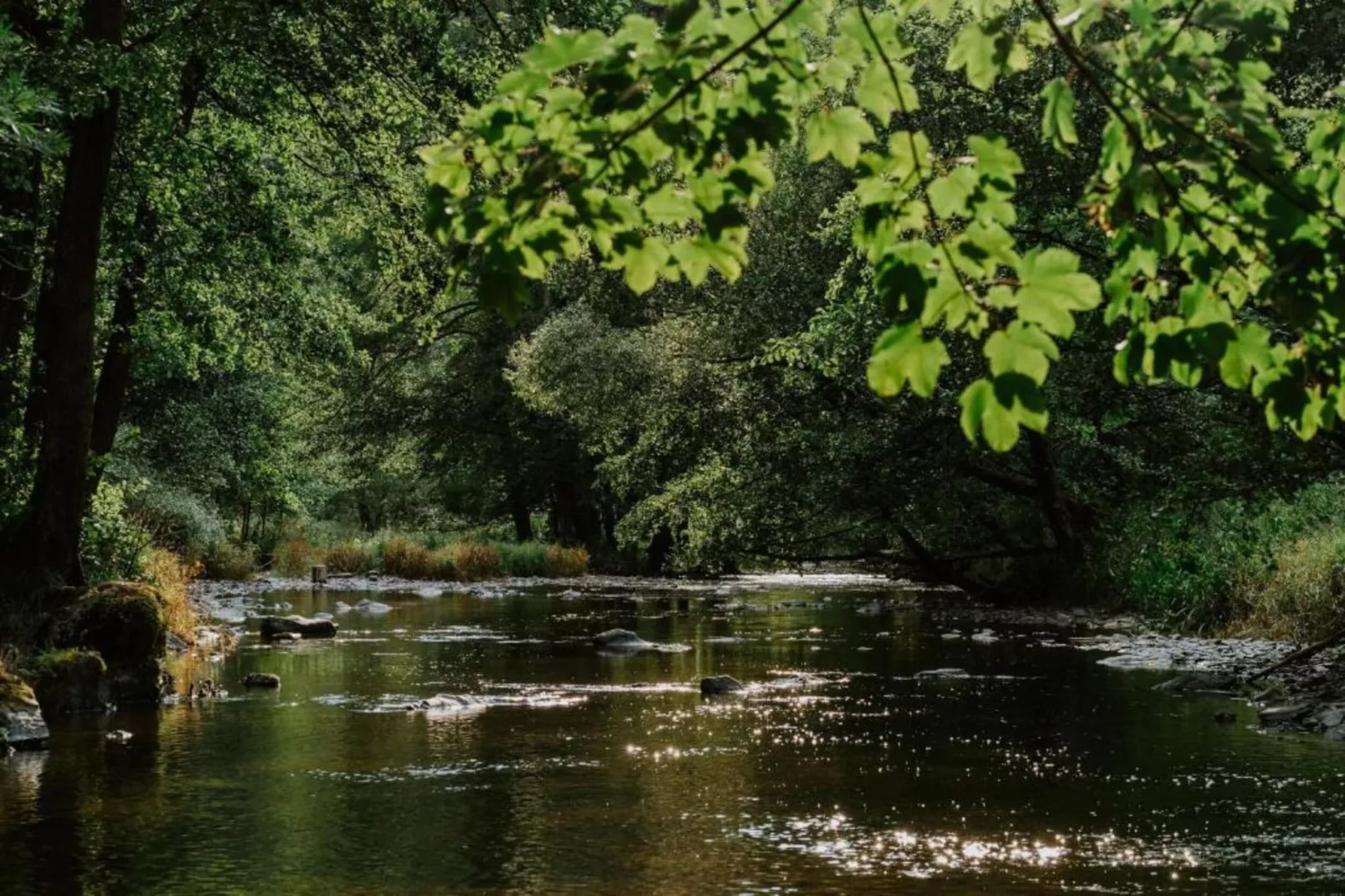 Jardin de l'Ourthe 22-Gebieden zomer 20km