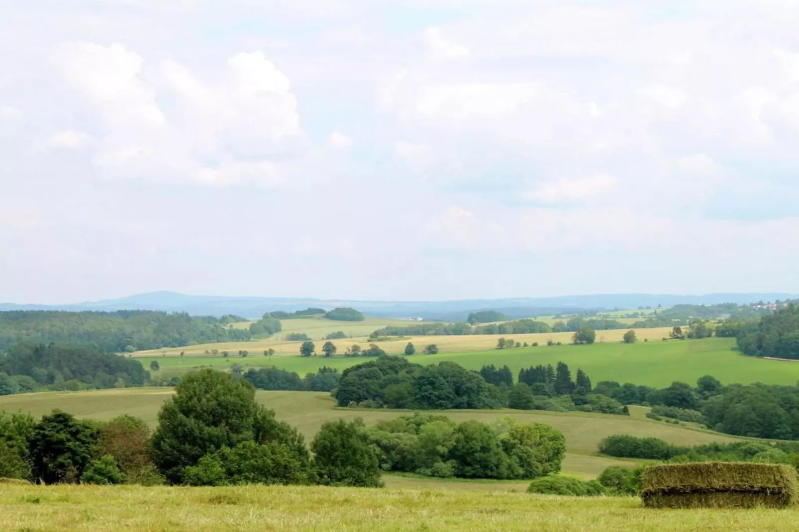 Pereboom-Gebieden zomer 5km