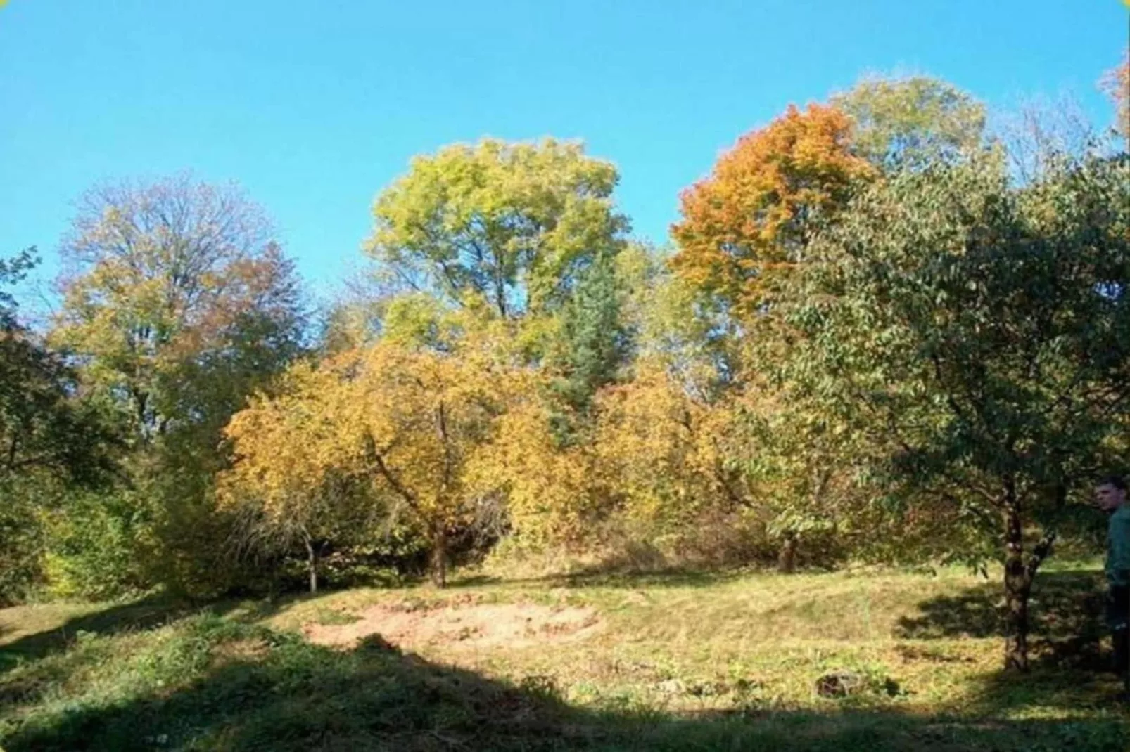 Fara-Gebieden zomer 5km
