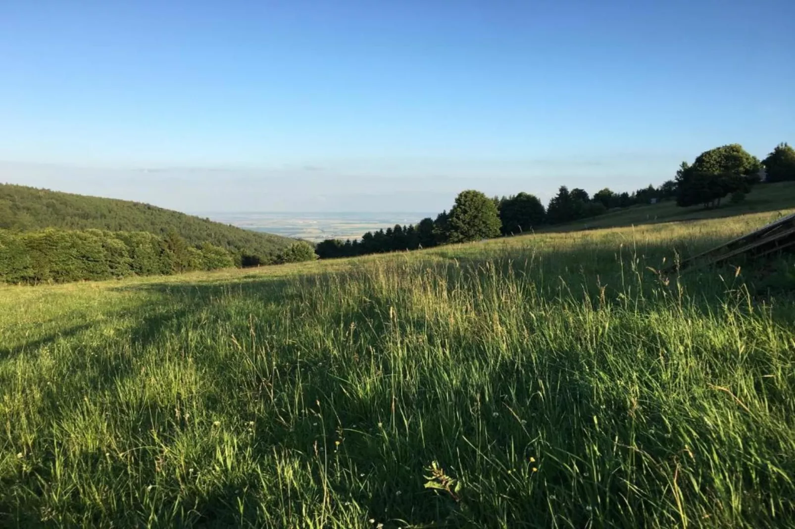 Stela-Gebieden zomer 5km