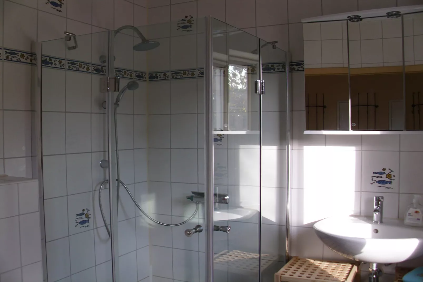 Harderhof 6-Badkamer