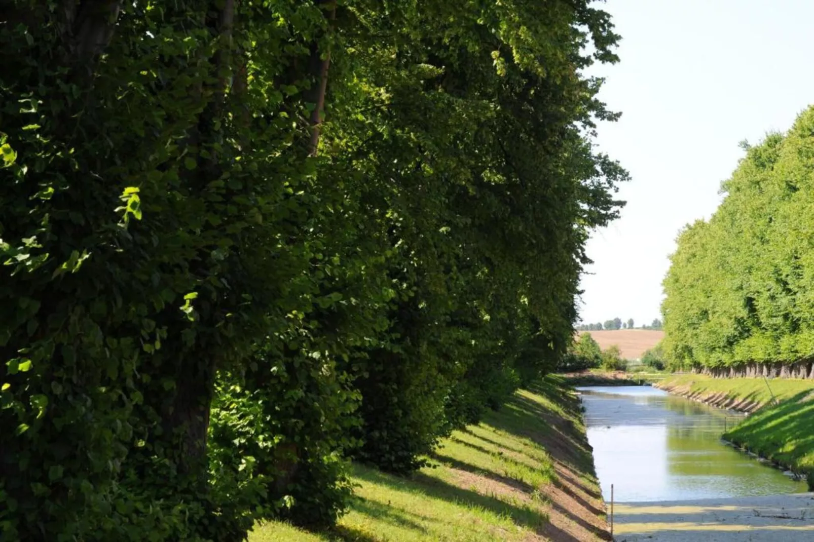 Dat Oole Huus 1-Gebieden zomer 5km