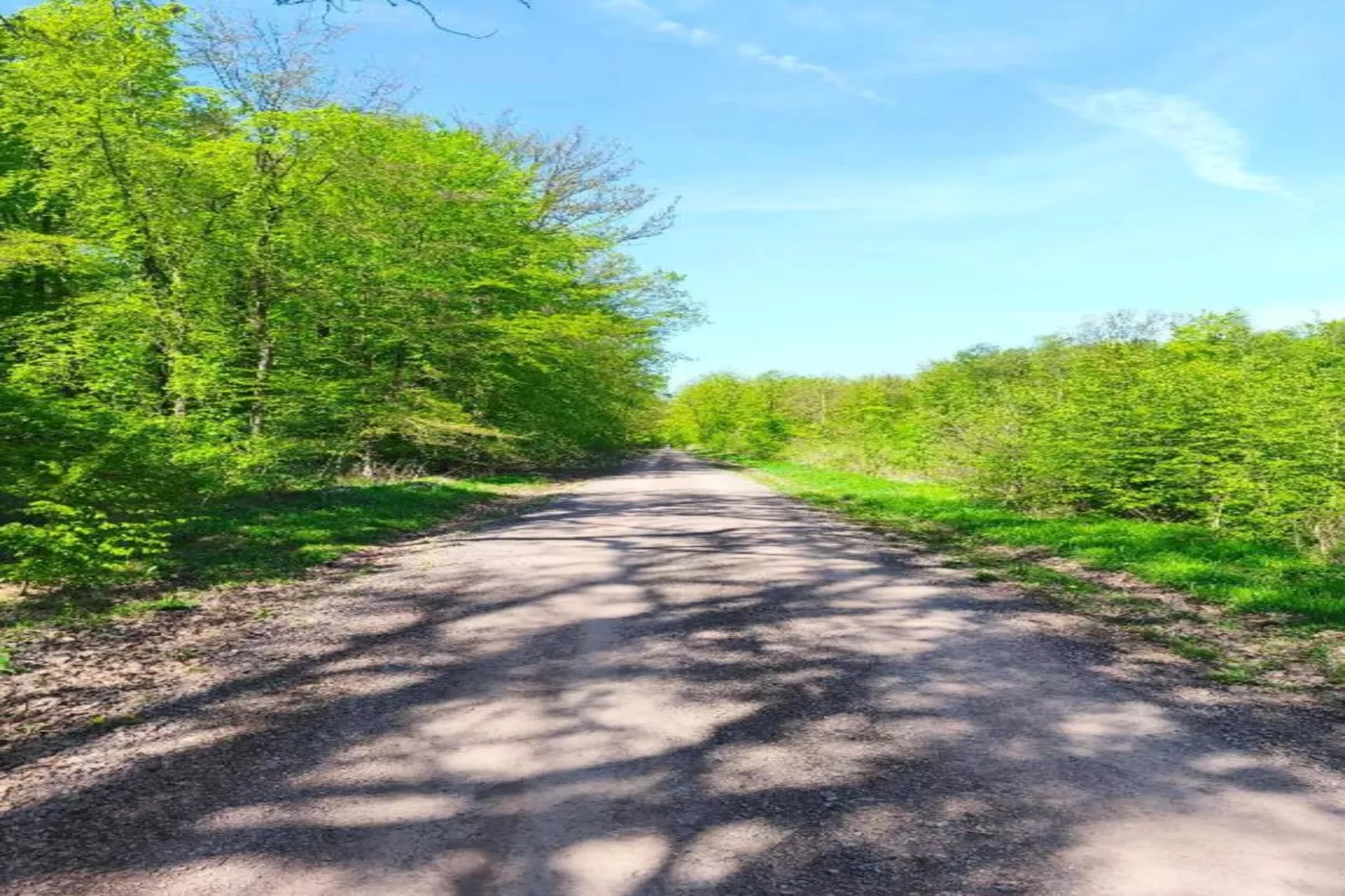 Holzhaus Ute-Gebieden zomer 20km