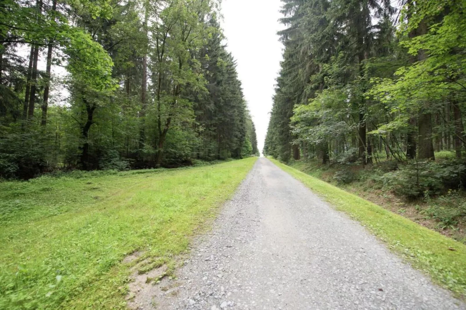 Vogtland-Gebieden zomer 20km