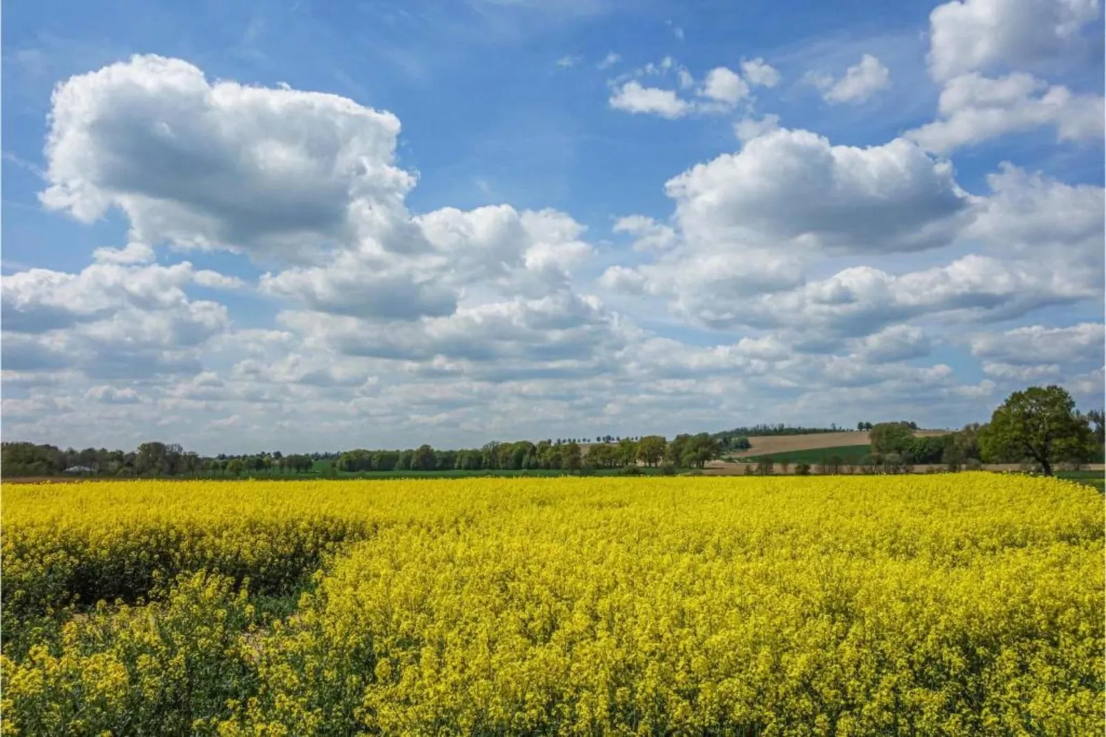 Feriendorf Natur pur 3-Gebieden zomer 20km