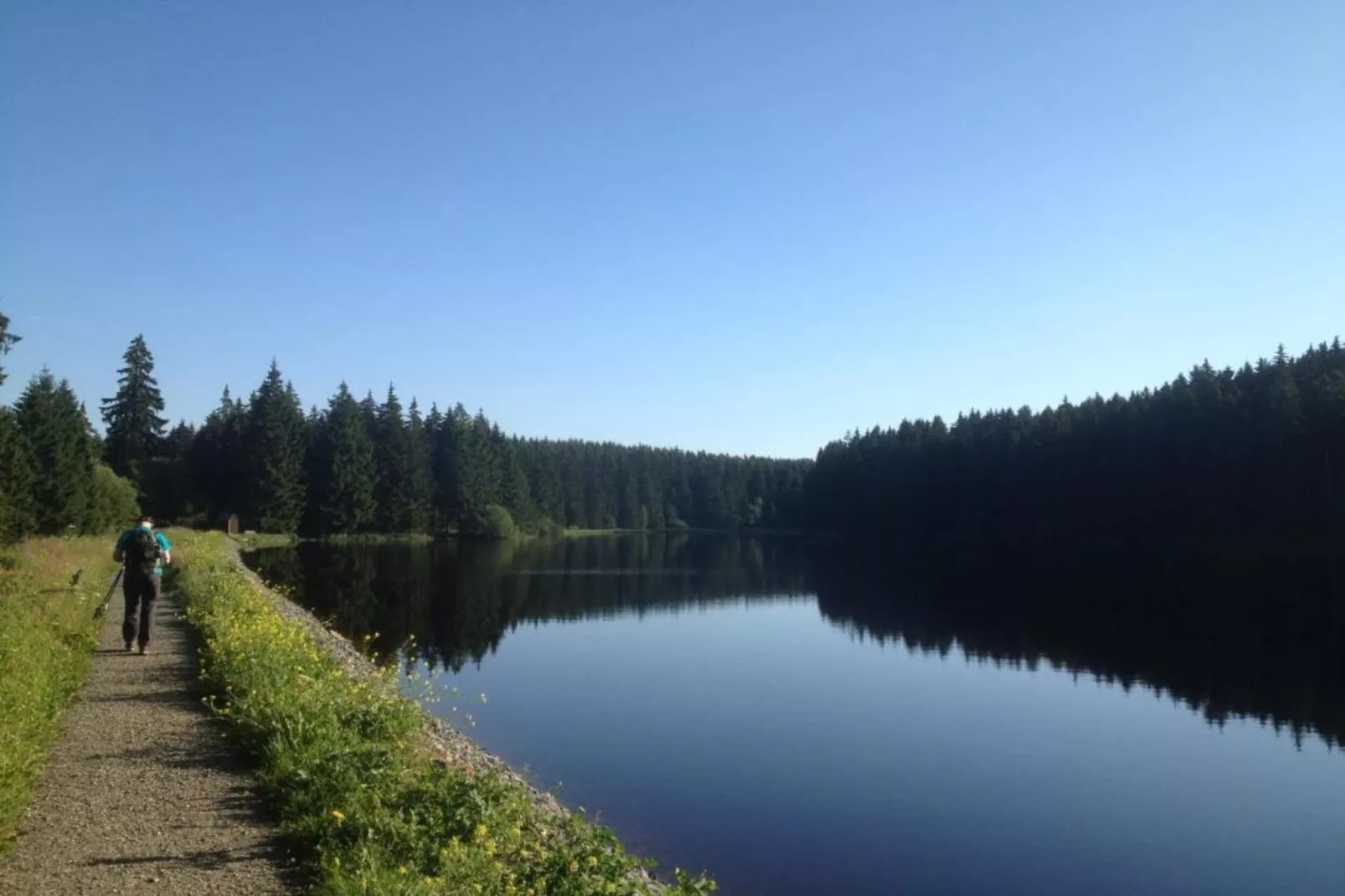 Spiegeltal-Gebieden zomer 1km