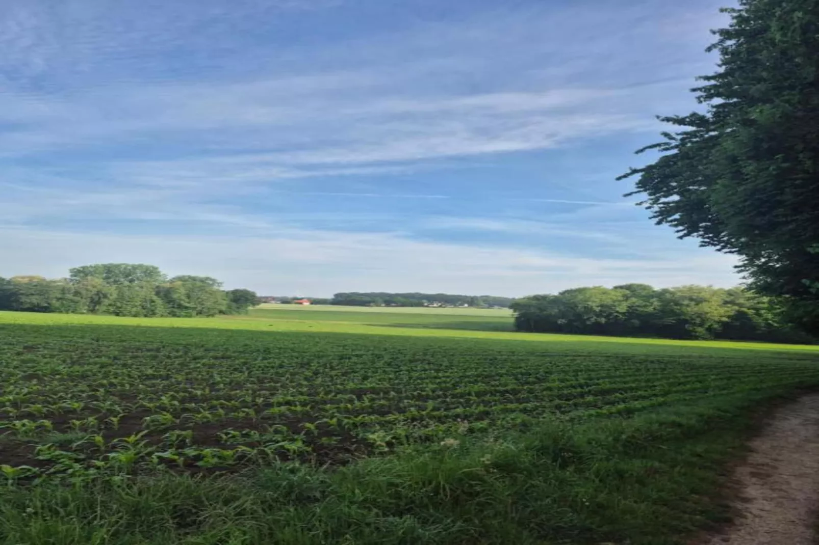 Ferienresort Bad Bentheim 8-Gebieden zomer 20km