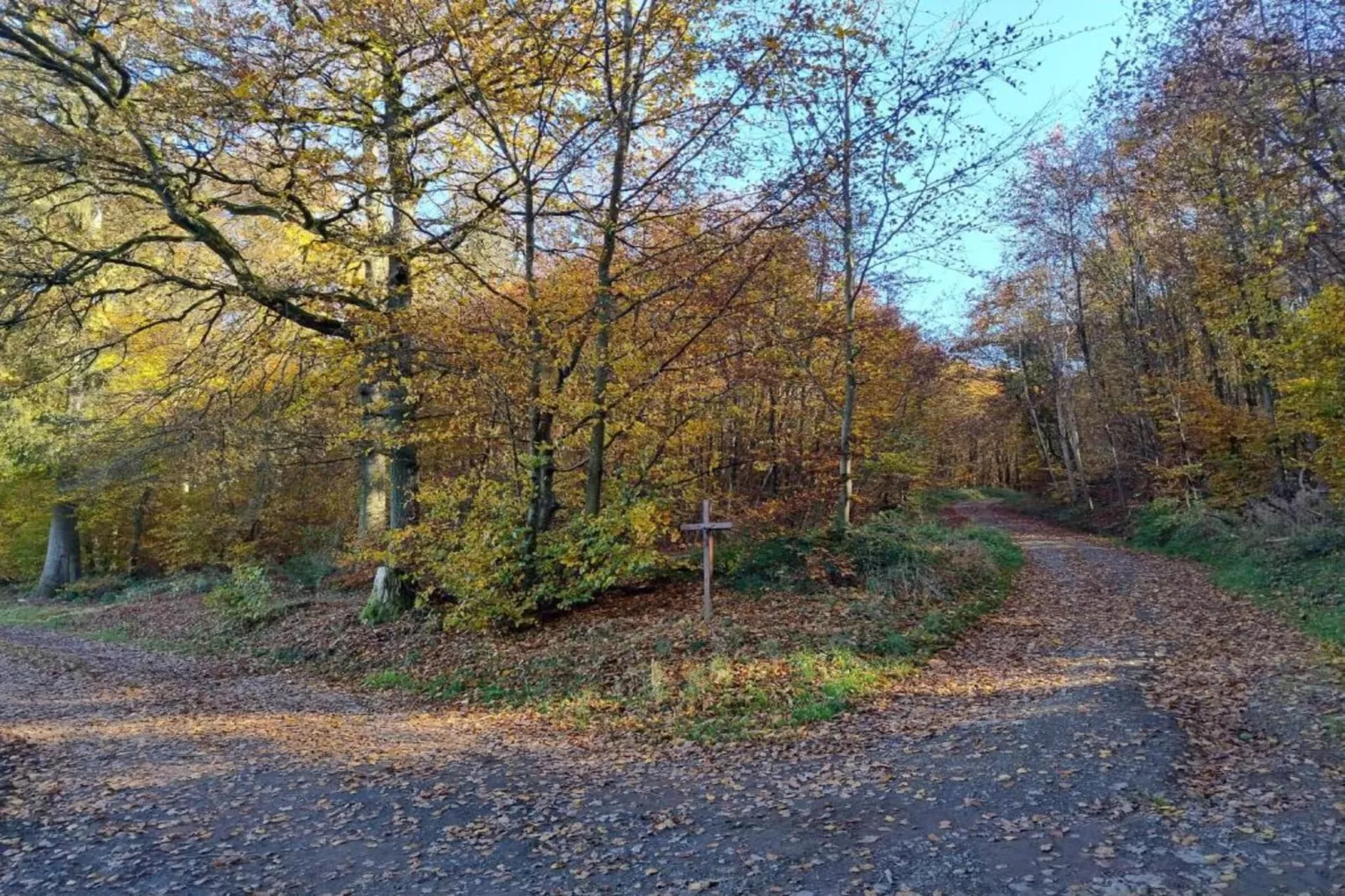 Ferienhaus Waldblick-Gebieden zomer 20km