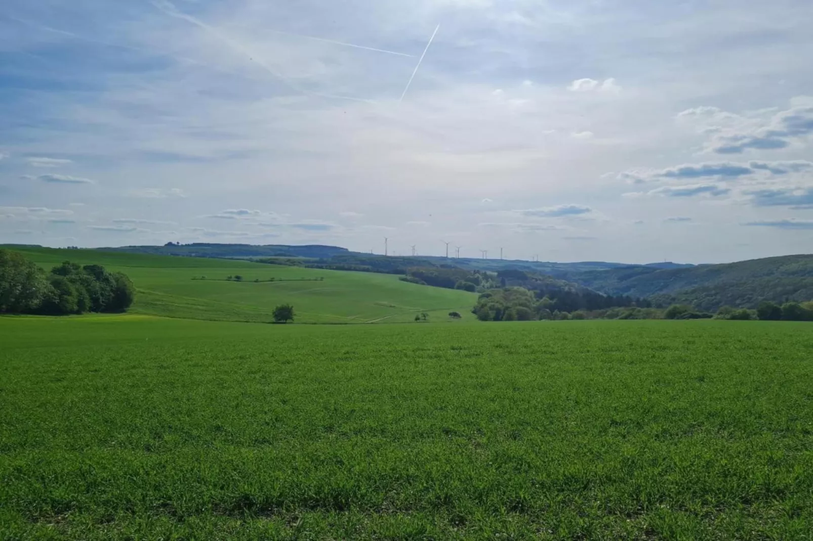 FEWO Eifelruhe-Gebieden zomer 20km