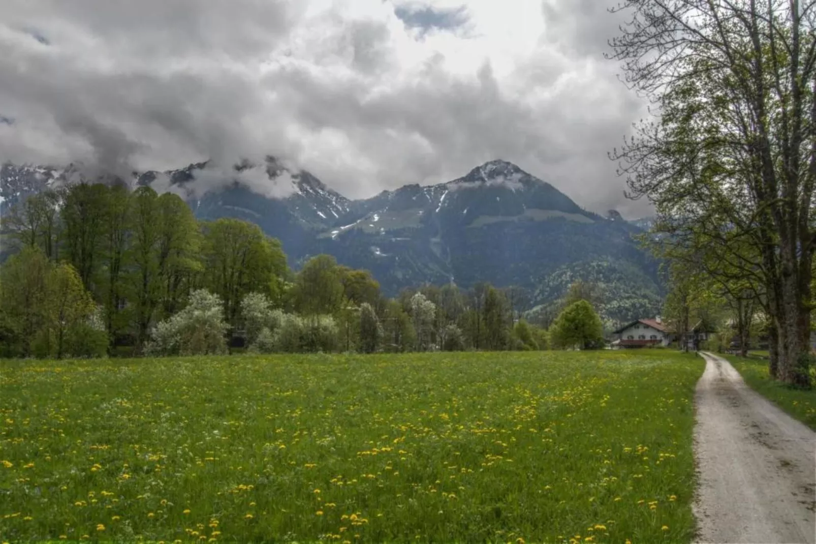 Schönau am Königssee-Gebieden zomer 20km
