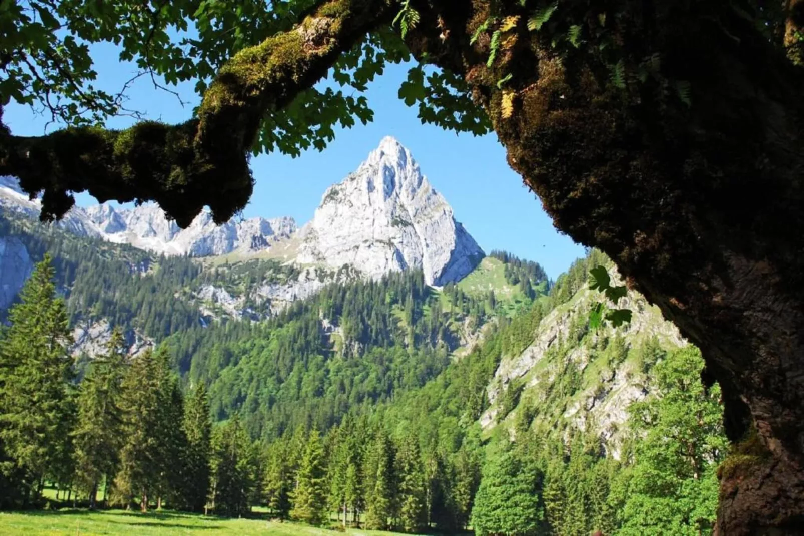Allgäu-Gebieden zomer 20km