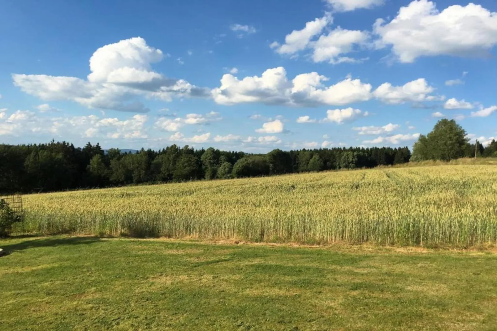 Weiherblasch I-Gebieden zomer 5km