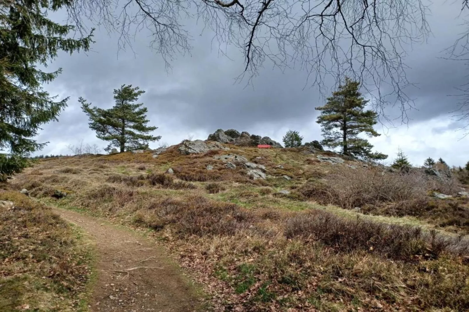 Bayerischer Wald-Gebieden zomer 20km