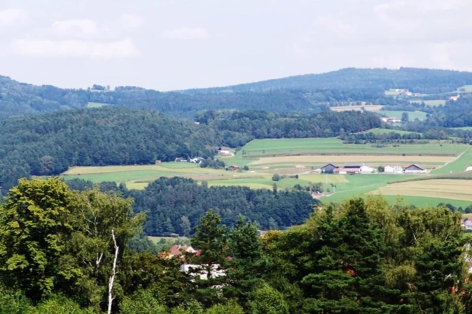 Vakantiehuis met sauna in Viechtach-Gebieden zomer 20km