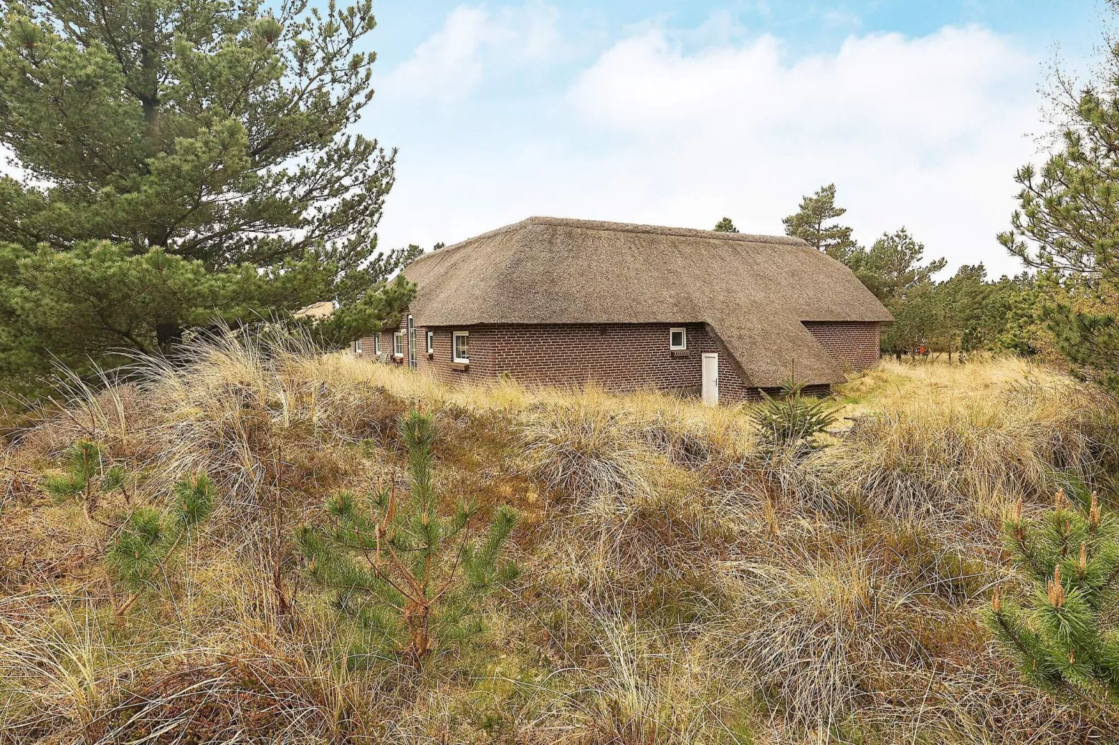 8 persoons vakantie huis in Blåvand-By Traum-Uitzicht