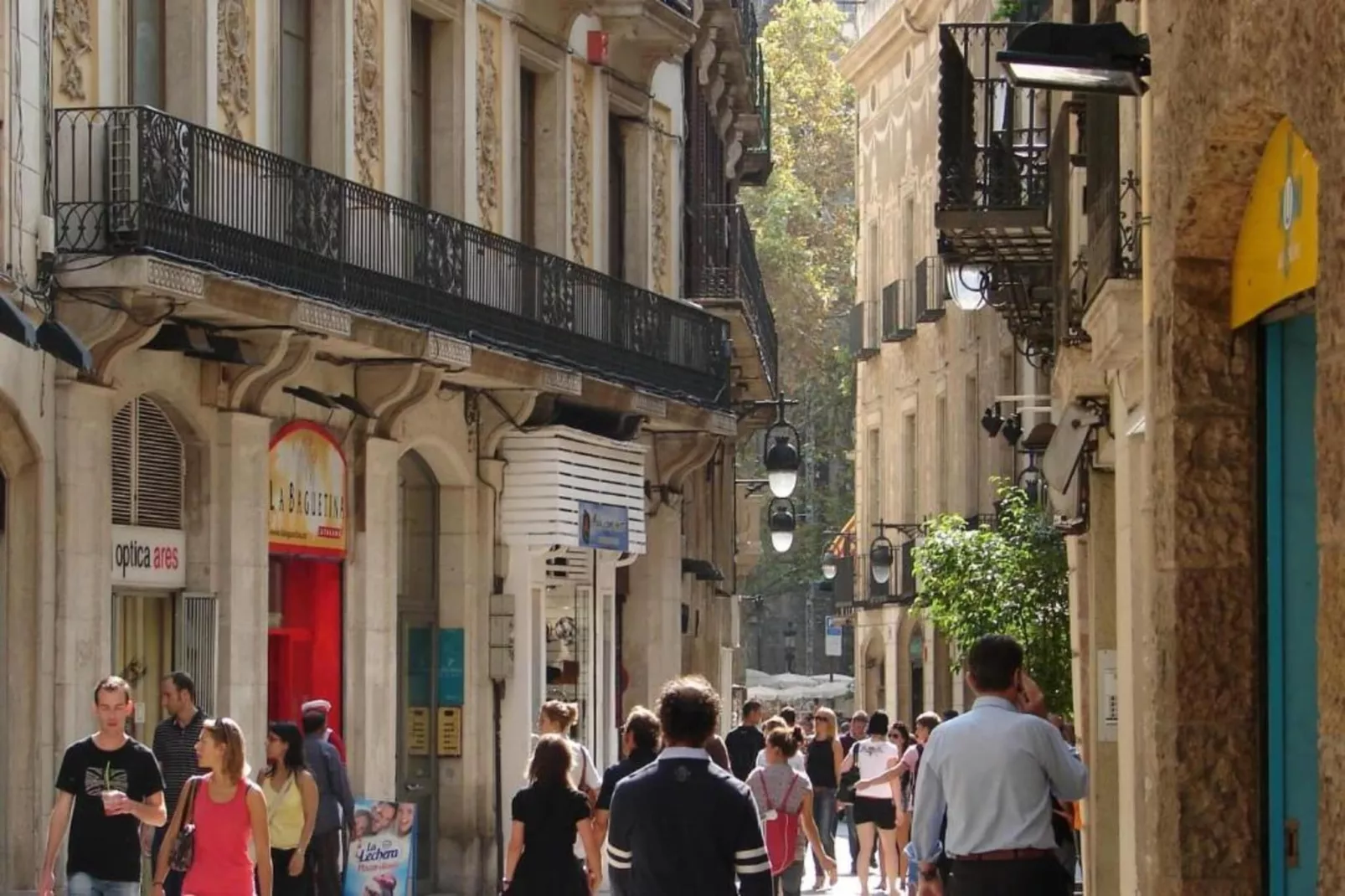 Mas Set Rengs 2-Gebieden zomer 20km