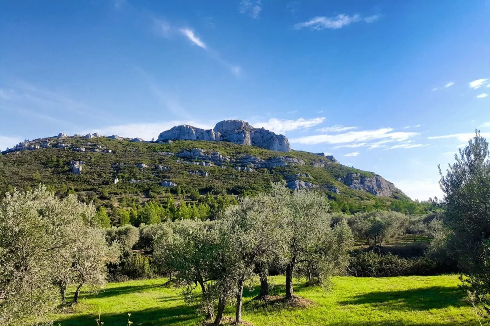 Résidence Le Mas des Alpilles 2-Gebieden zomer 20km