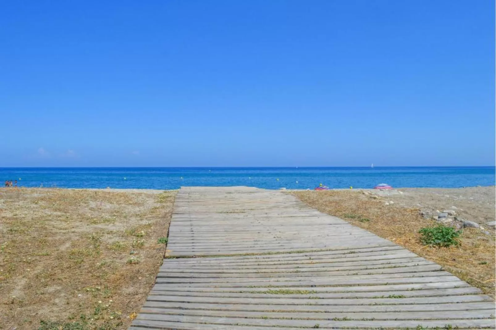 Alizé-Gebieden zomer 1km