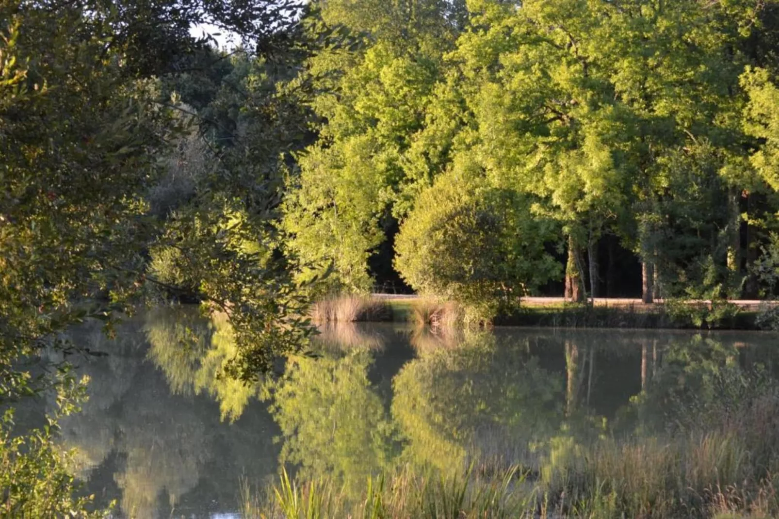 Maison au calme avec piscine-Gebieden zomer 20km