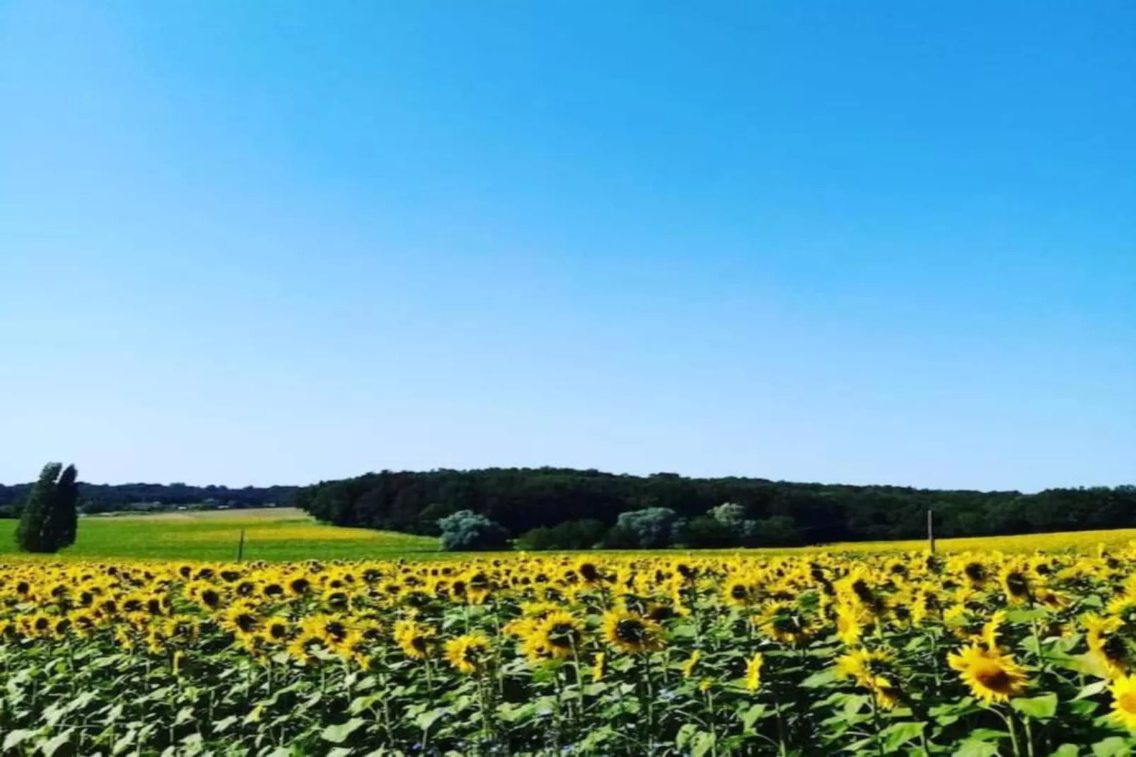 Gîte du Château-Gebieden zomer 5km
