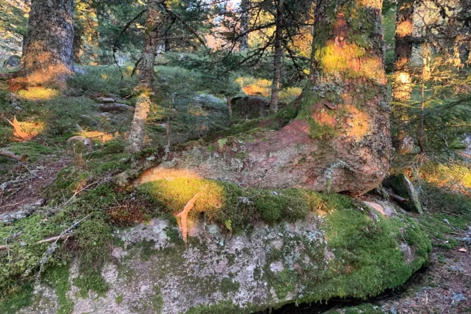 Gite -   SAUVAIN-Gebieden zomer 5km