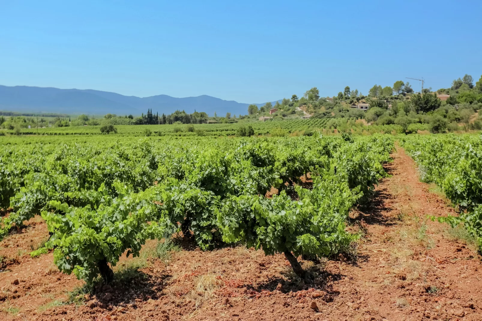 Villa Vida - Uitzicht zomer