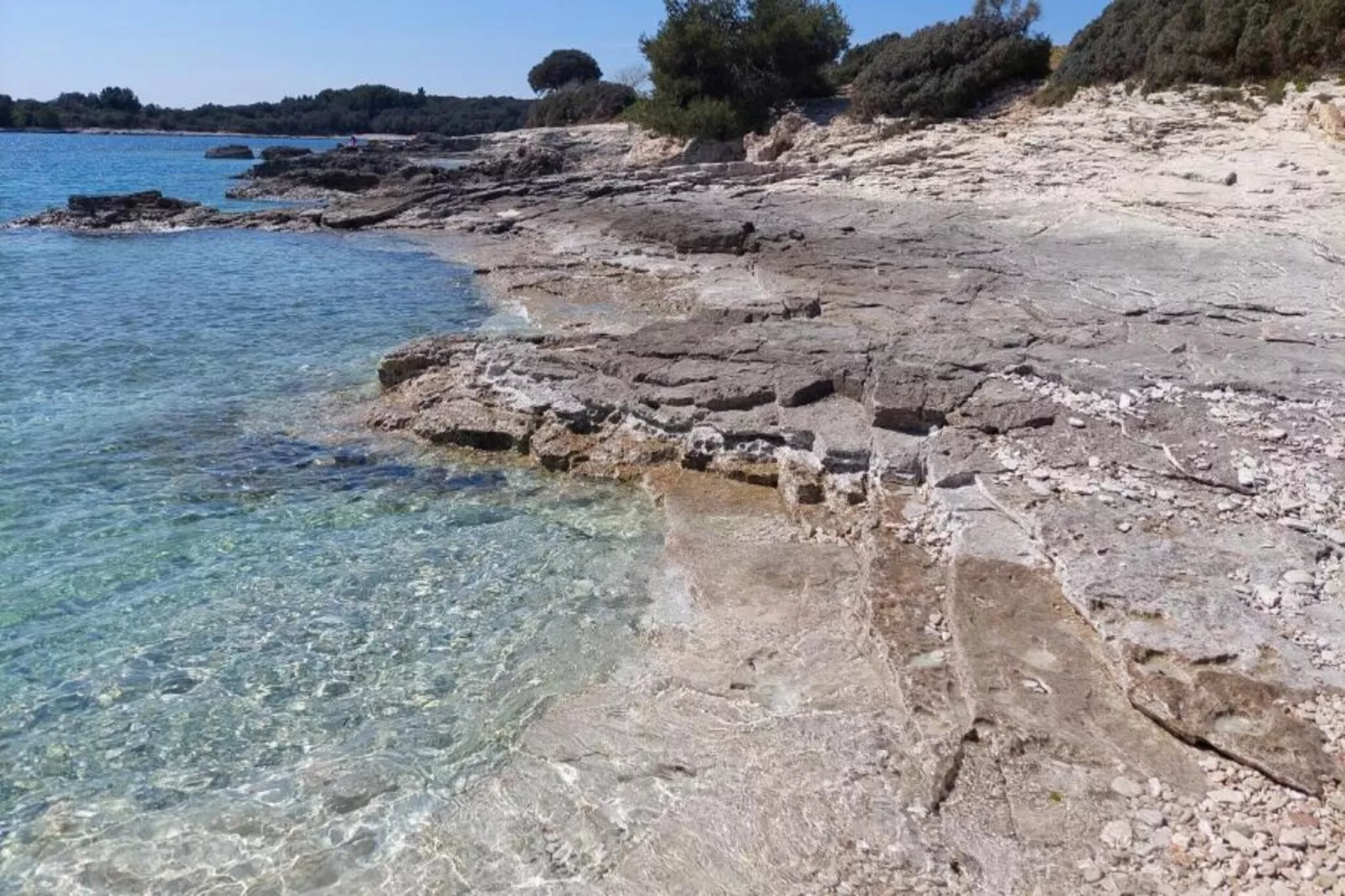 App Musoga 1-Gebieden zomer 20km