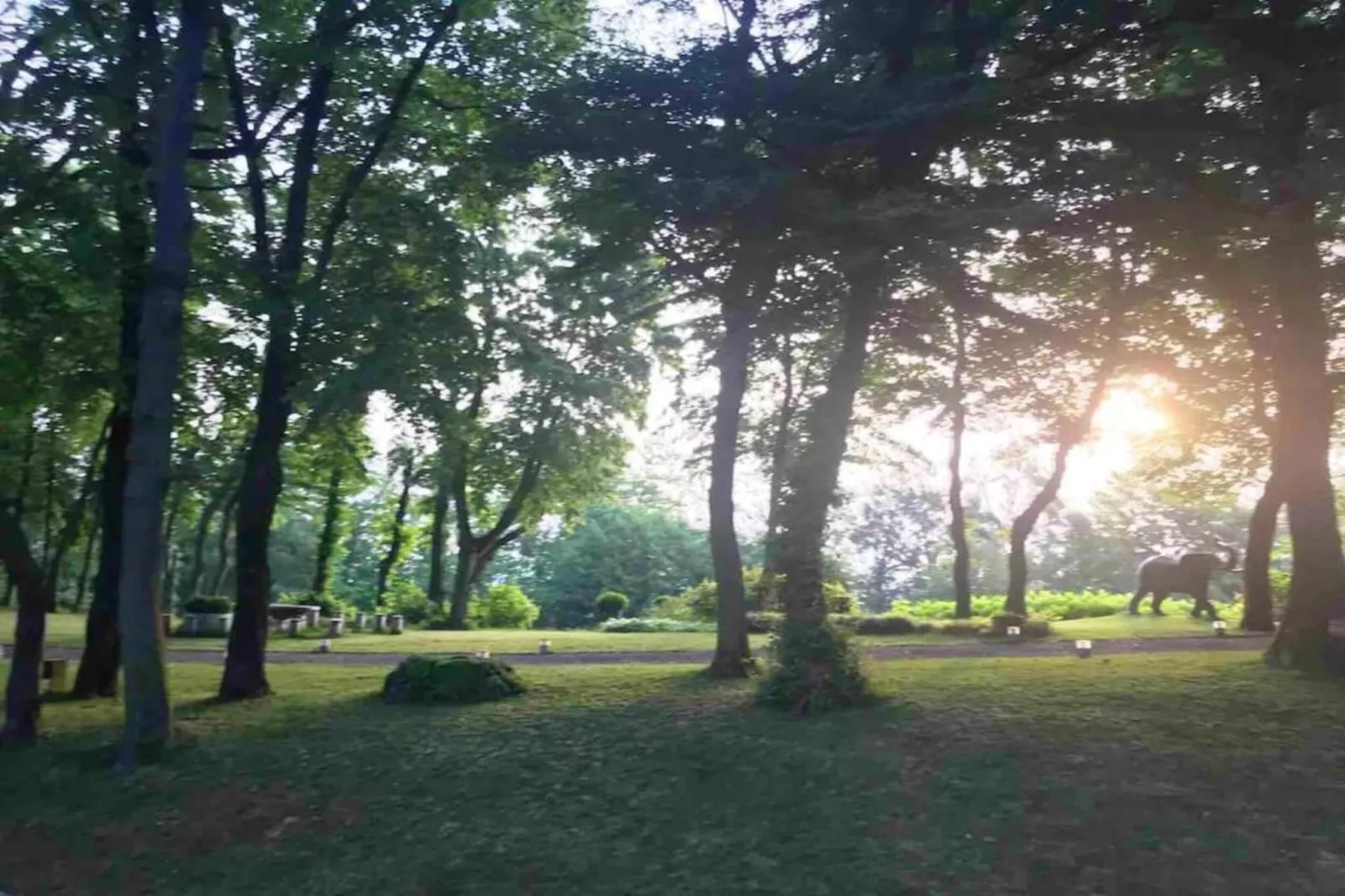 Villa Carpaneto-Gebieden zomer 20km