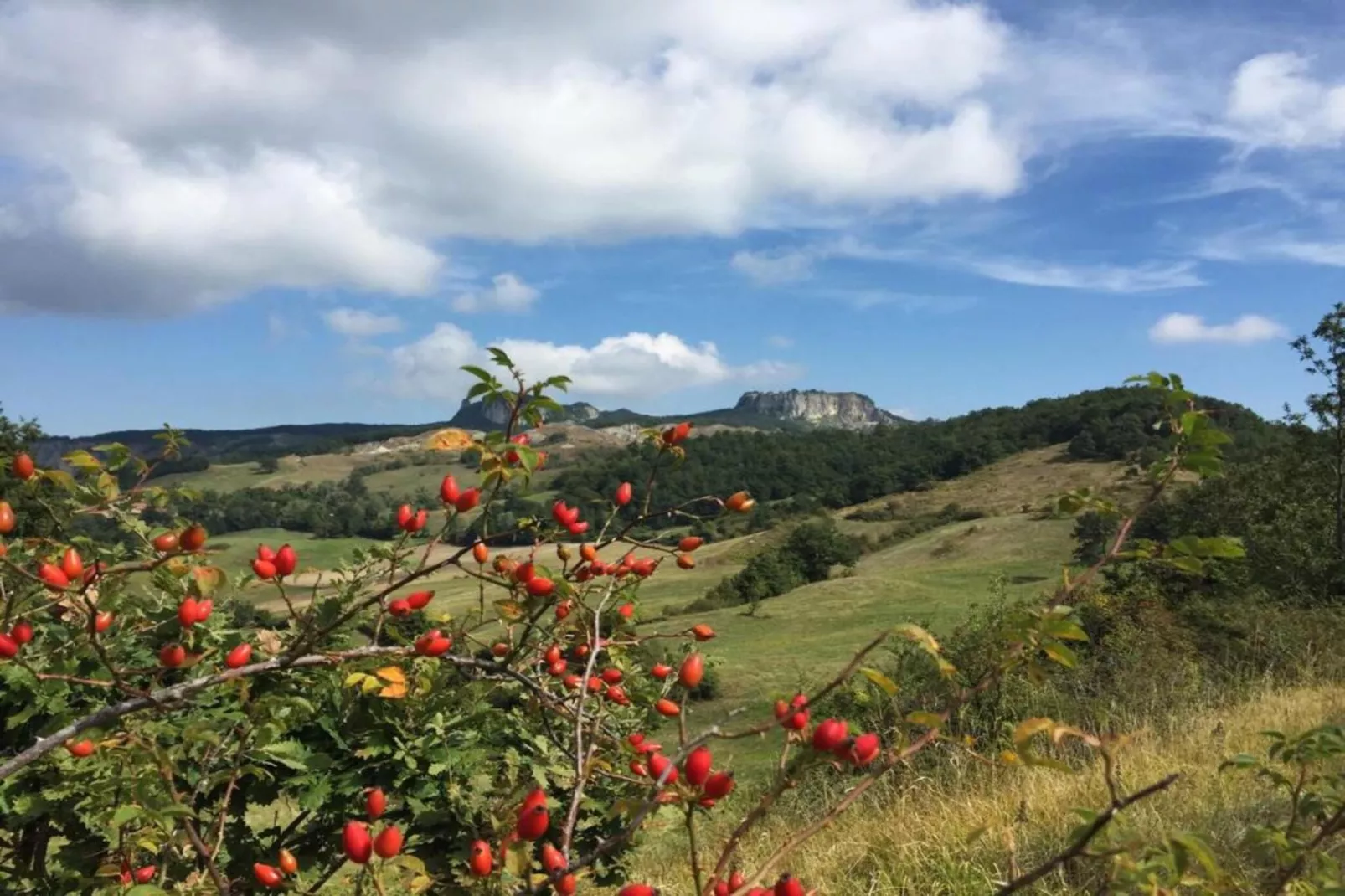 Simone-Gebieden zomer 20km