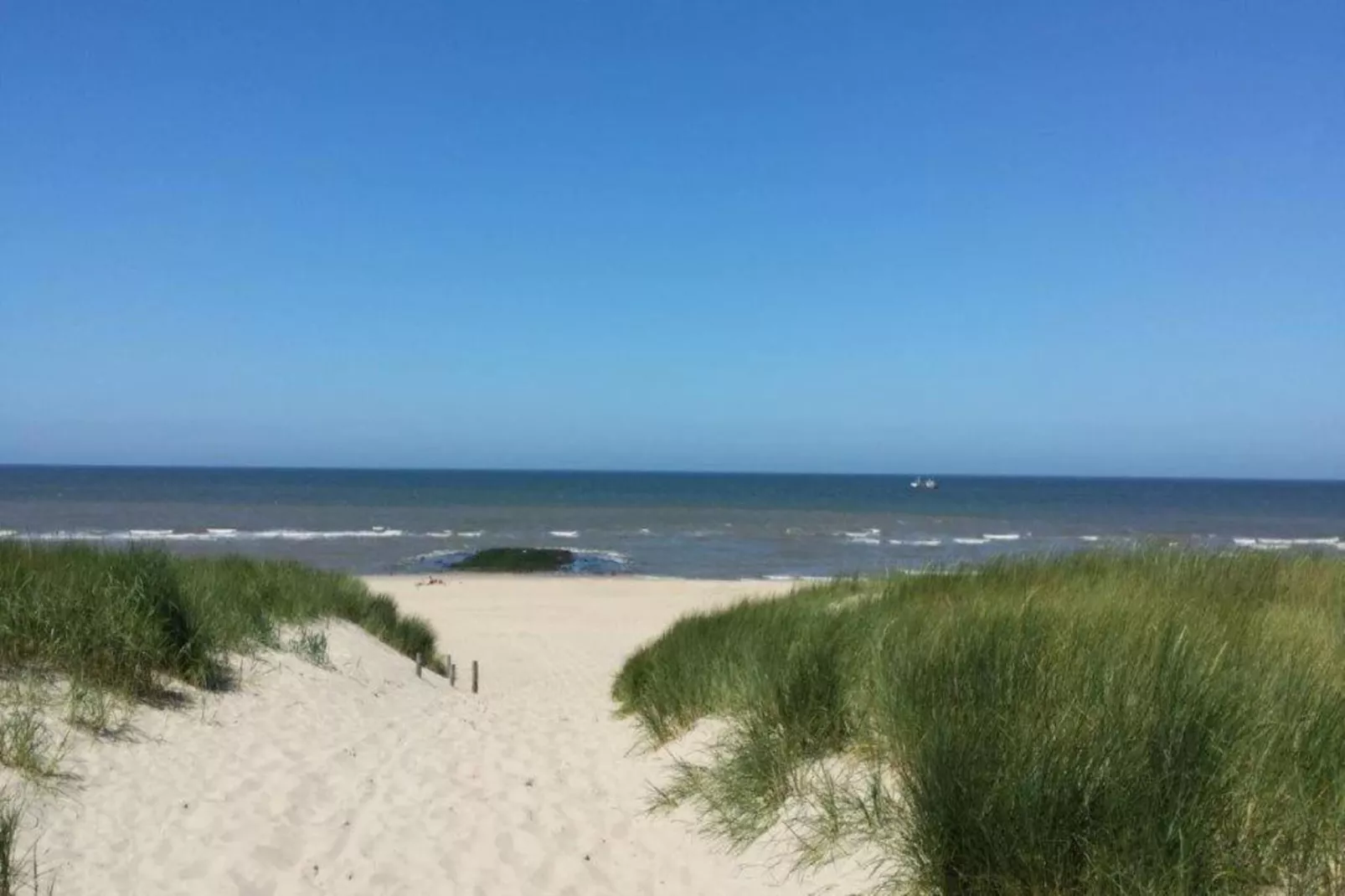 Hazenborgh - Zon-Gebieden zomer 20km