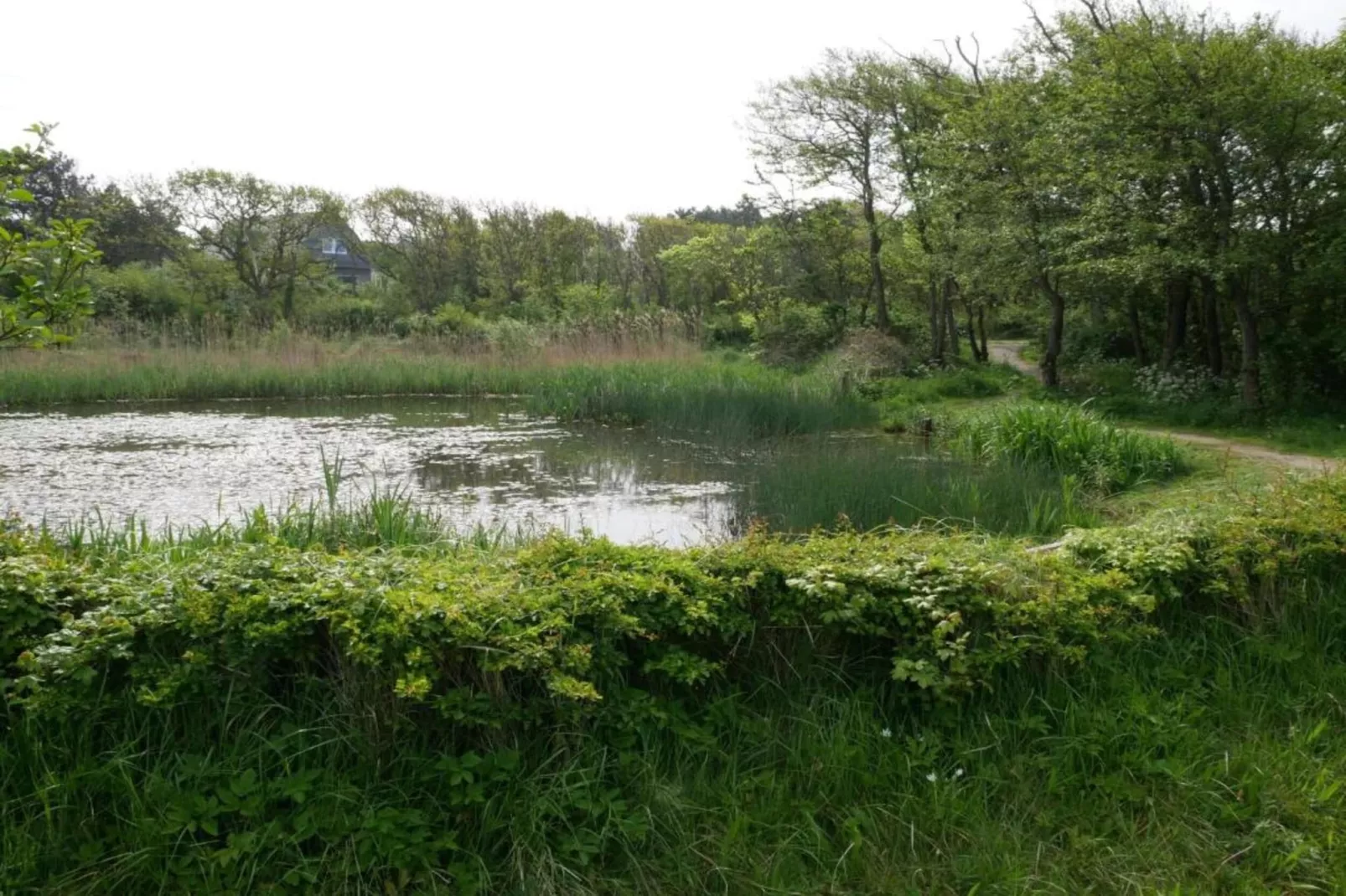 Huize Glory Robijn-Gebieden zomer 20km