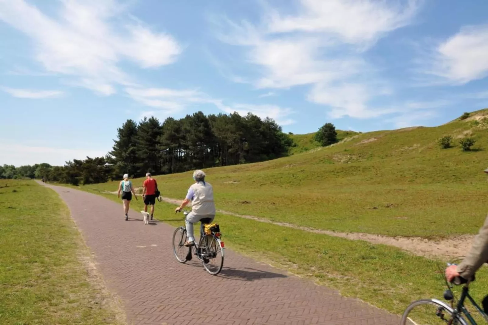 Residentie de Graaf van Egmont 9-Gebieden zomer 20km