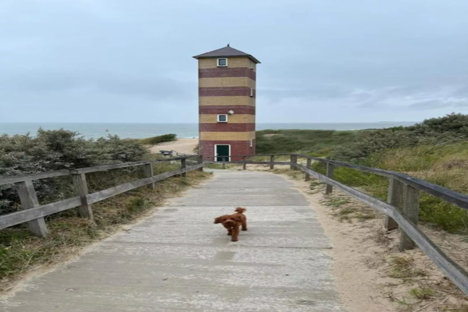 Noordzee Résidence Dishoek 3-Gebieden zomer 5km