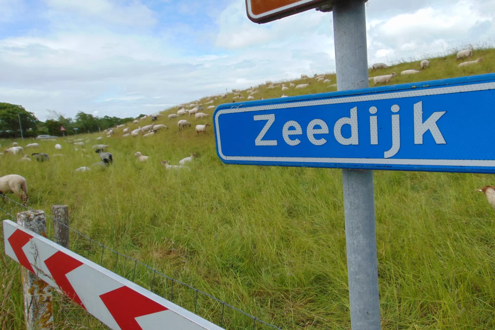 't Schuurtje-Gebieden zomer 1km