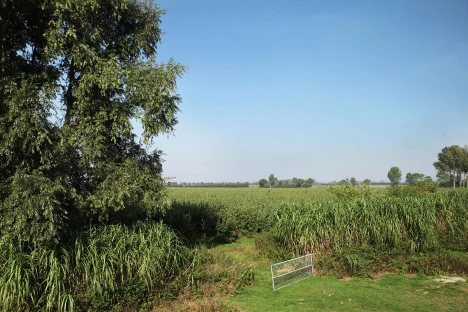 De Biezenpolder 't Groothuus-Gebieden zomer 20km
