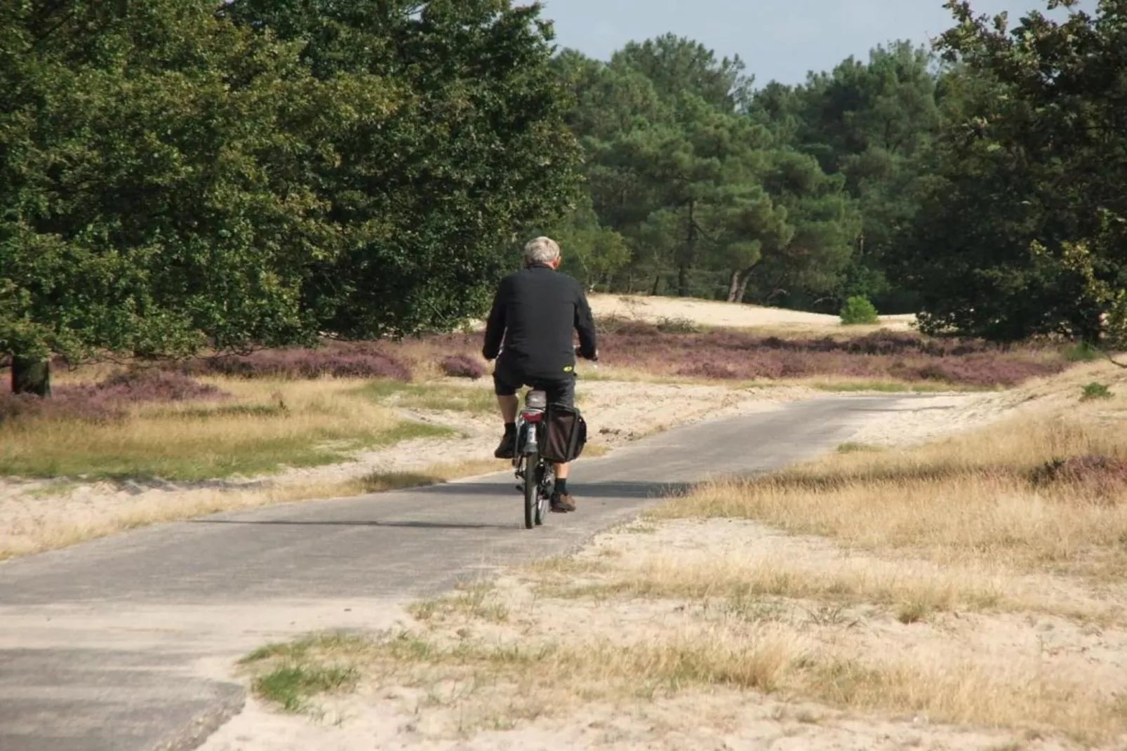 Recreatiepark Duinhoeve 9-Gebieden zomer 20km