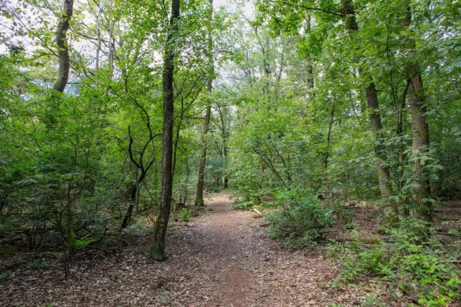 Vakantiepark Schaijk 7-Gebieden zomer 5km