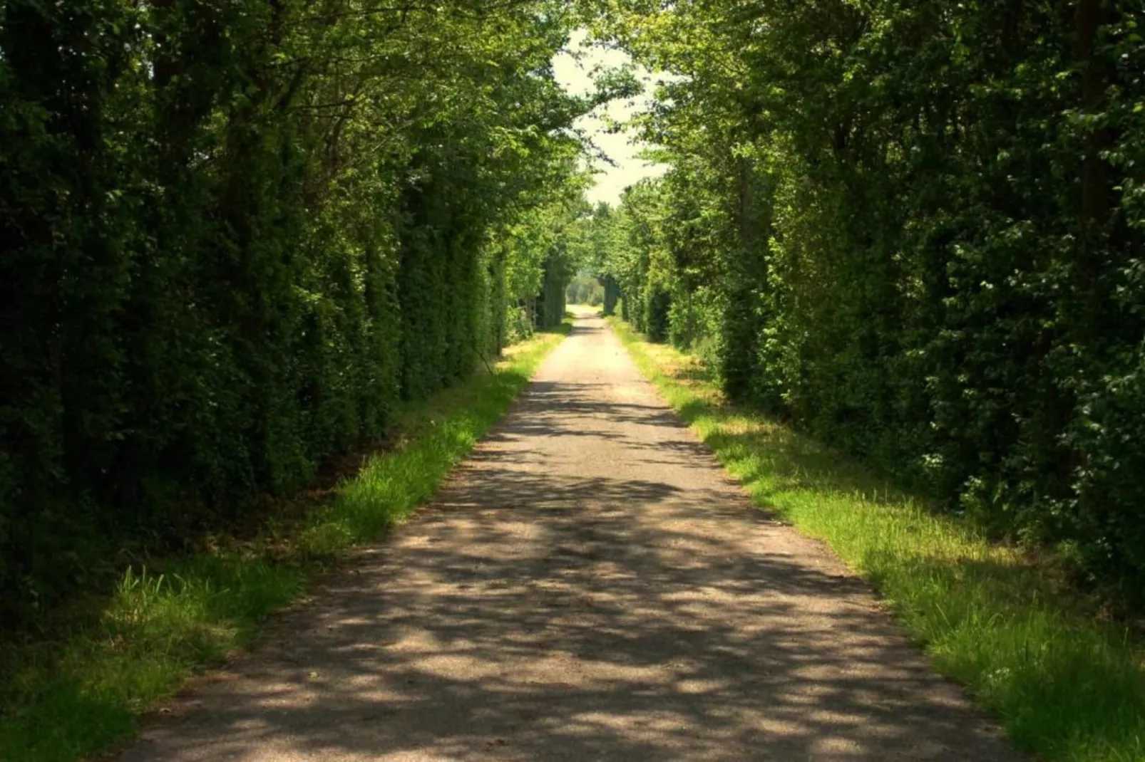 De Grutto-Gebieden zomer 20km