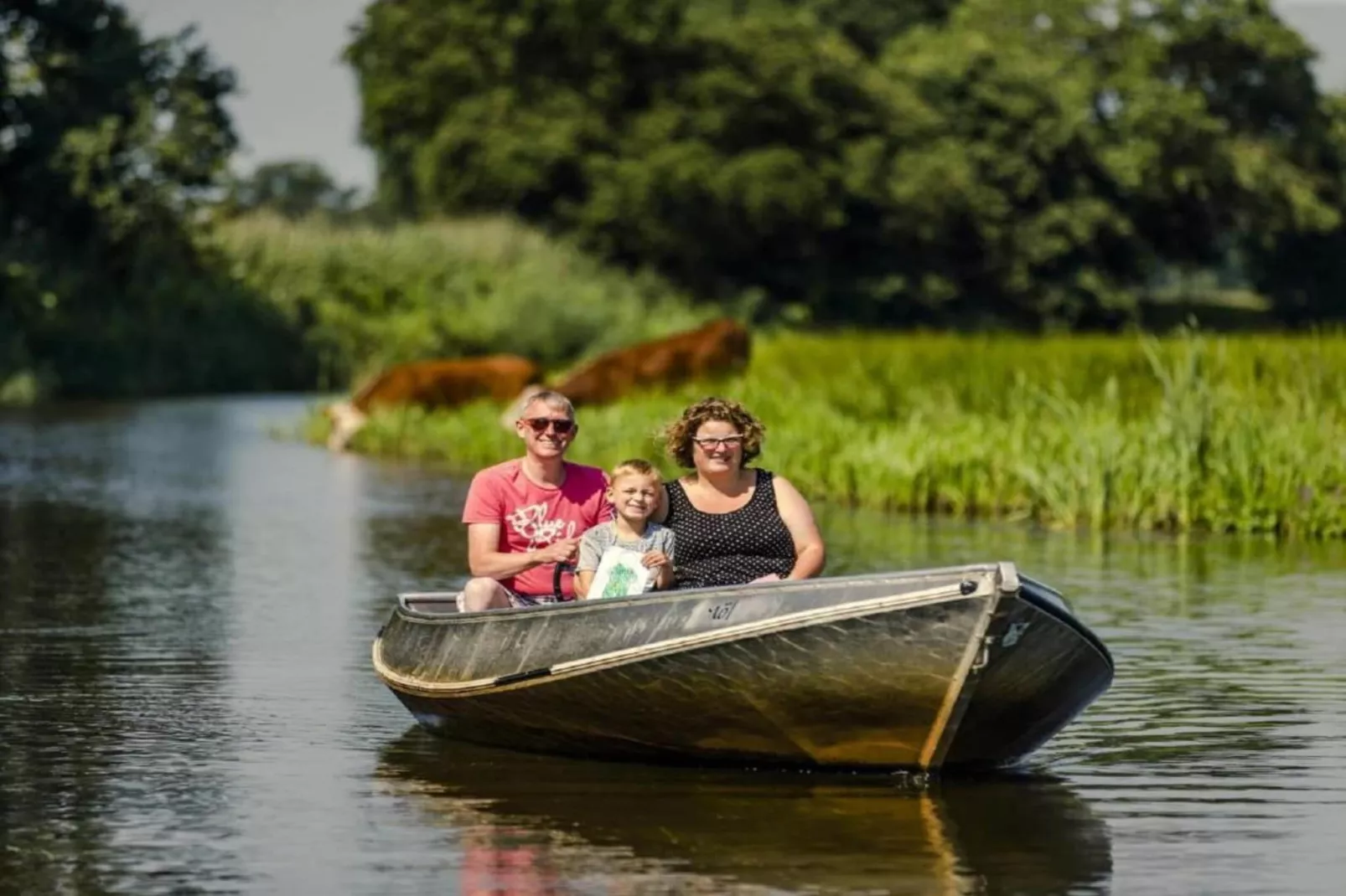 Vakantiepark Mölke 28-Gebieden zomer 20km