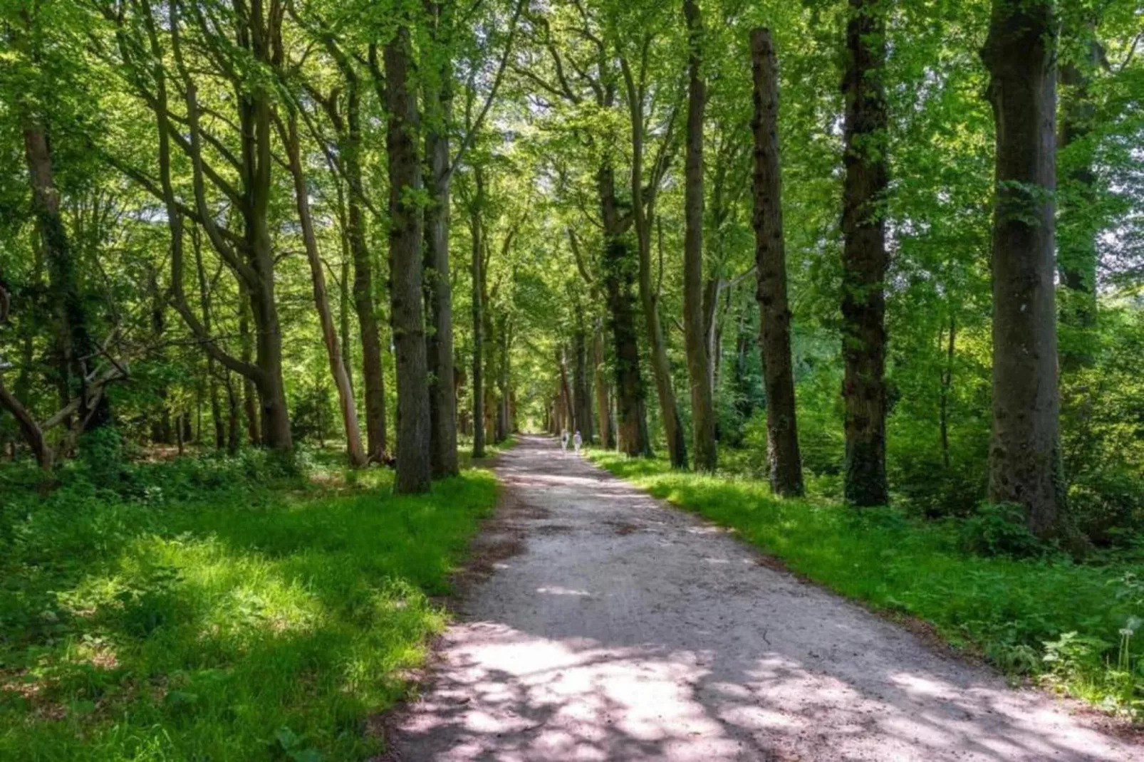 Waterpark Terkaple 1-Gebieden zomer 20km