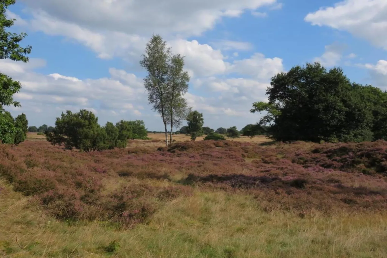 Vakantiepark Hunzedal 16 - Gebieden zomer 20km