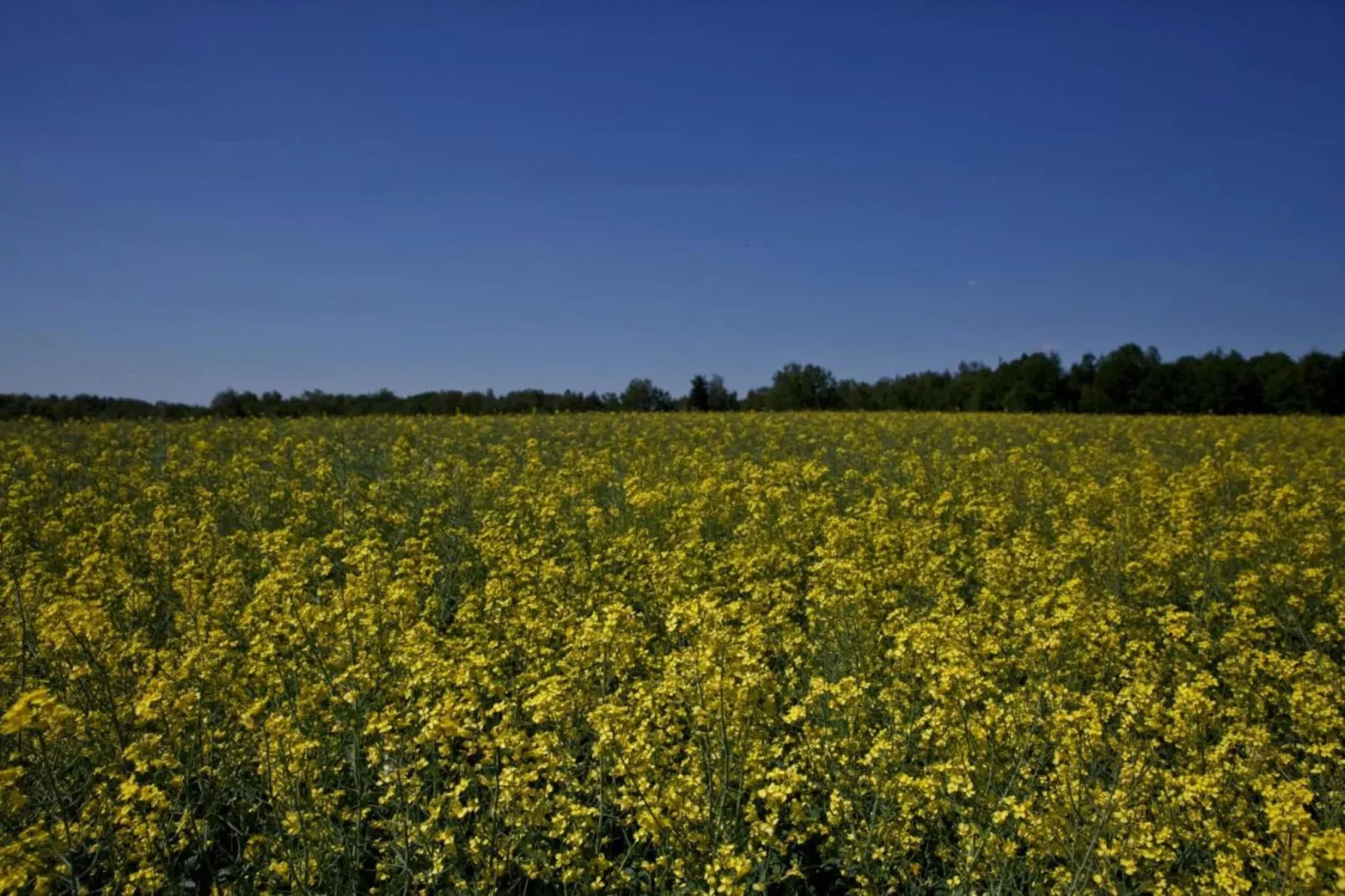 Holiday Home Skrzynia-Gebieden zomer 20km