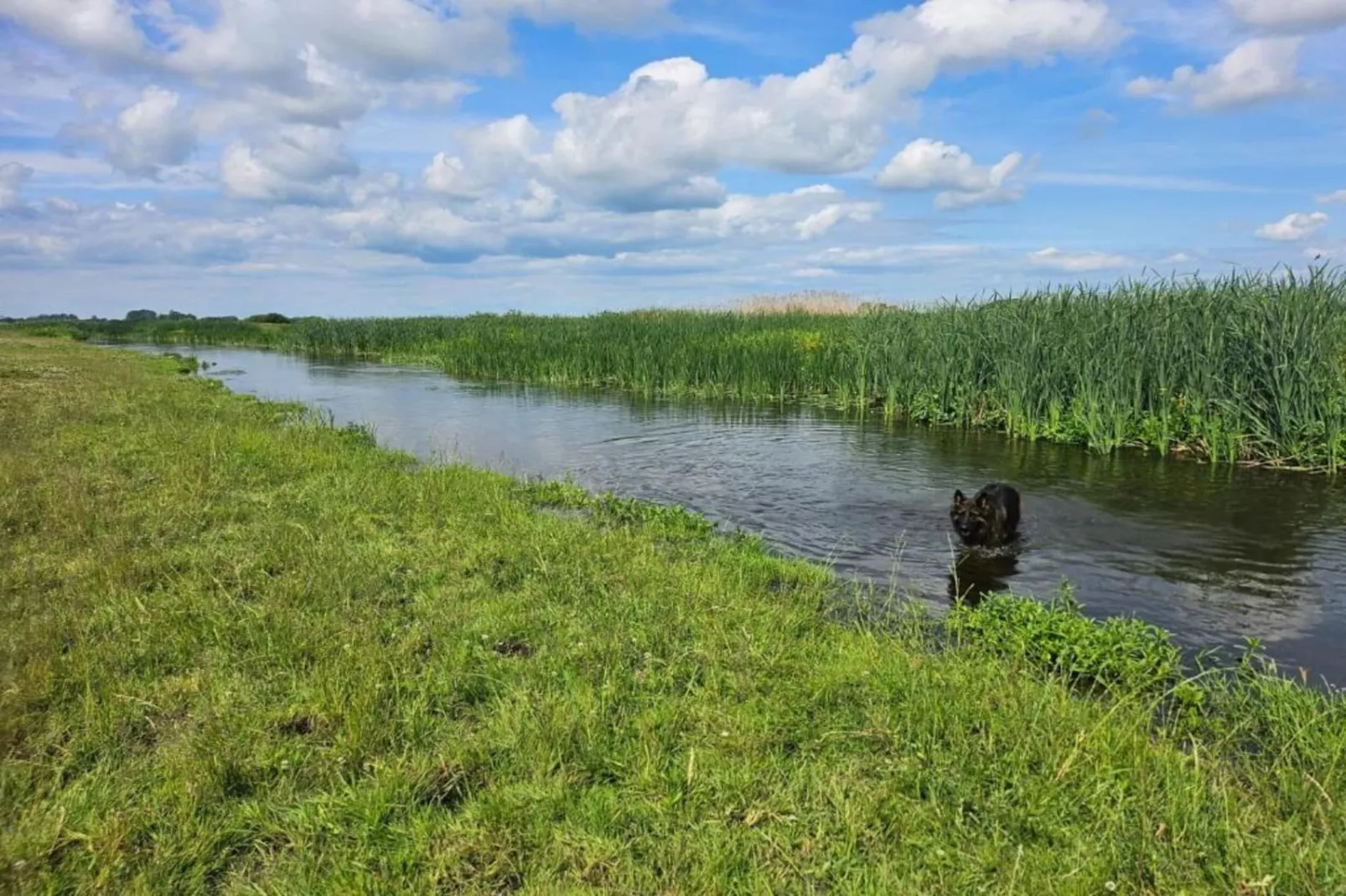 House Gajewo in Podlasie-Gebieden zomer 20km