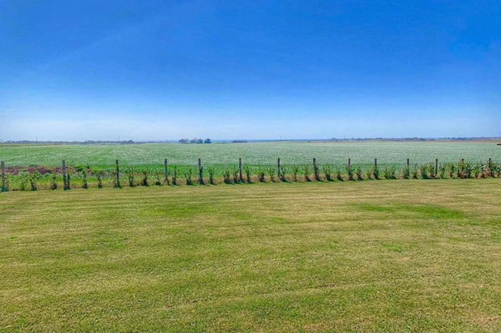 Lavanda-Gebieden zomer 20km